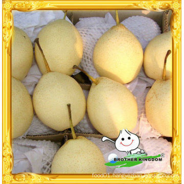 wholesale China fresh Ya Pear